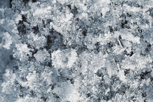 Macro shot of snow crystals, top view