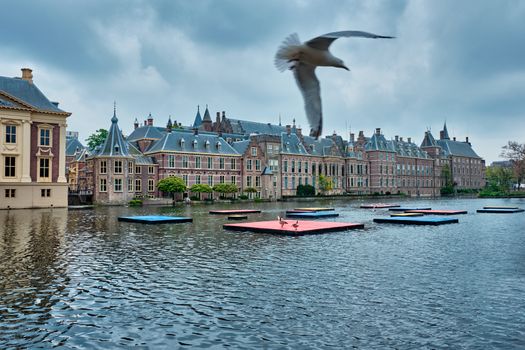 View of the Binnenhof House of Parliament and the Hofvijver lake and flying seagull. The Hague, Netherlands