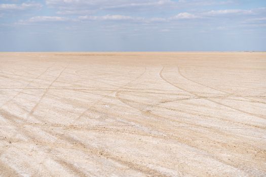 Dry sea endless sand beautiful clouds beautiful landscape estuary. Azove sea