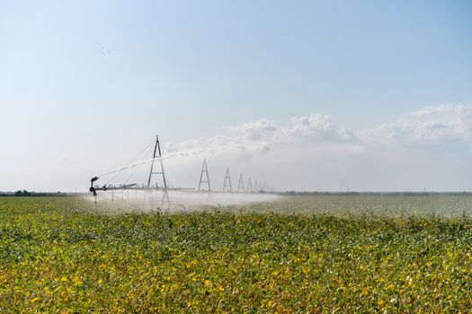 Irrigation System Watering Crops on Farm Field. Automatic water spray agriculturel farmland
