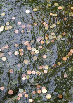 Coins thrown in fountain water in hope to return