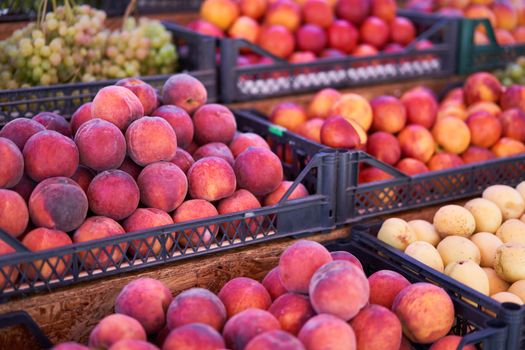 Fruit bazaar peaches nectarine grapes apricots ripe juicy lie plastic box showcase. Seasonal fruits supermarket display