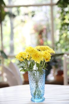 yellow flower in jar