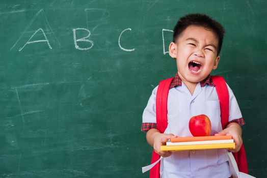 Back to School. Happy Asian funny cute little child boy from kindergarten in student uniform with school bag holding red apple on books smile on green school blackboard, First time to school education