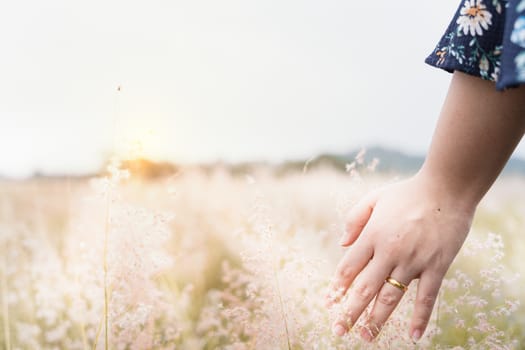 Close up of woman palm sliding through the flowers in the field on sunny day, beautiful woman, bohemian outfit, indie style, summer vacation, sunny, having fun, positive mood, romantic