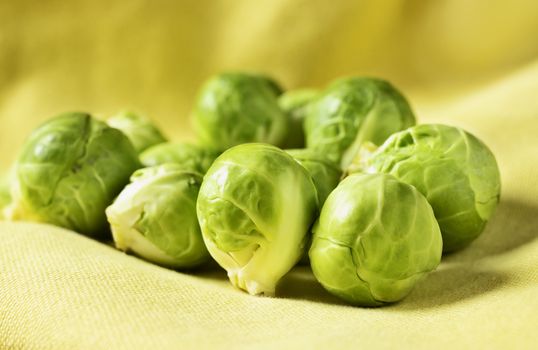 Brussels sprouts on yellow cotton cloth ,beautiful green leaf vegetables 