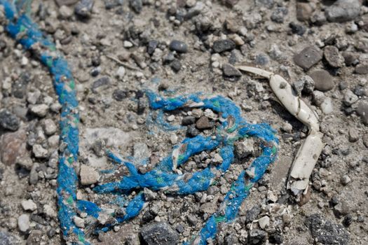 Coast with garbage. Pollution in the nature.