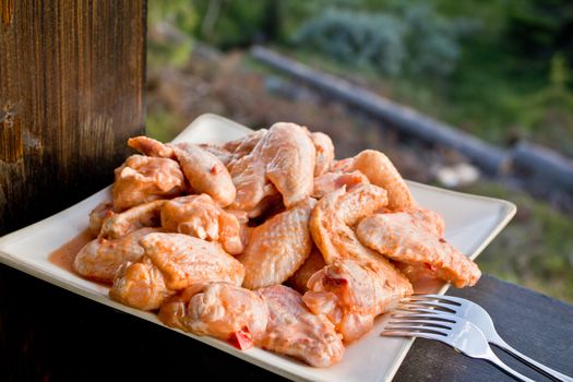 Chicken meat prepared for barbeque. Chicken thighs ready to grill on white plate