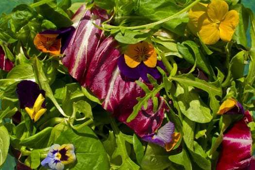 Healthy and vegan, vegetarian salad with flowers and lots of greens.