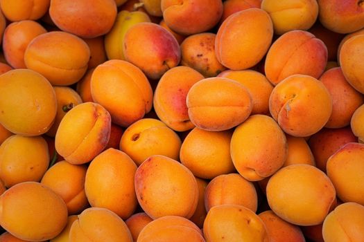 Heap of apricots on display at food market, closeup from above.