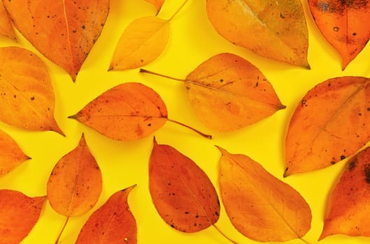 Orange coloured autumn leaves on yellow board, top down view.