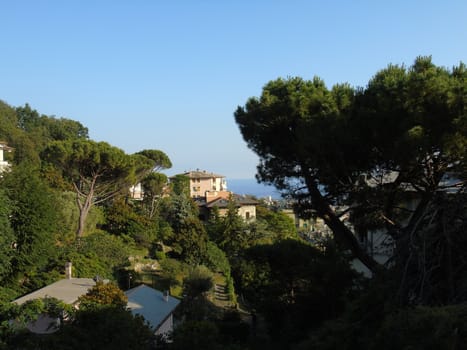 Genova, Italy - 07/12/2020: An amazing photography of the city of Genova from the hills in summer days, with a great blue sky in the background and some trees behind the buildings.