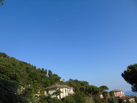 Genova, Italy - 07/12/2020: An amazing photography of the city of Genova from the hills in summer days, with a great blue sky in the background and some trees behind the buildings.