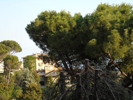 Genova, Italy - 07/12/2020: An amazing photography of the city of Genova from the hills in summer days, with a great blue sky in the background and some trees behind the buildings.