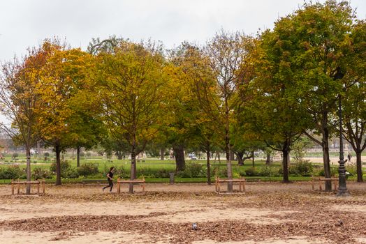 Paris, France, November 3, 2017--Photo of an early morning jogger in the Tuileries Garden in Paris, France.