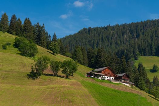 Summer landscape with mountain hut surrounded by greenery and with numerous pine trees, daytime image with a blue sky