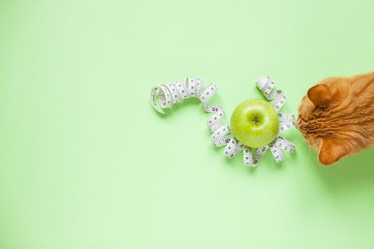 Diet and healthy eating concept. Top view of weightloss. Green apple and measuring tape. Green background