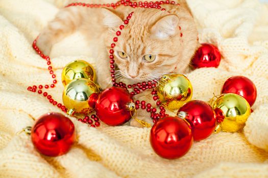 A fat lazy ginger cat lies on a knitted yellow blanket with New Year's toys: gold and red balls. New Year card.