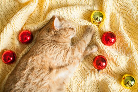 A fat lazy ginger cat lies on a knitted yellow blanket with New Year's toys: gold and red balls. New Year card.