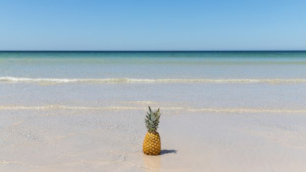 Lonely pineapple on the sand of the beach with the turquoise sea in the background