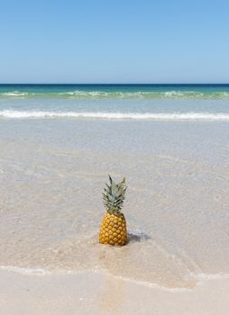 Lonely pineapple on the sand of the beach with the turquoise sea in the background