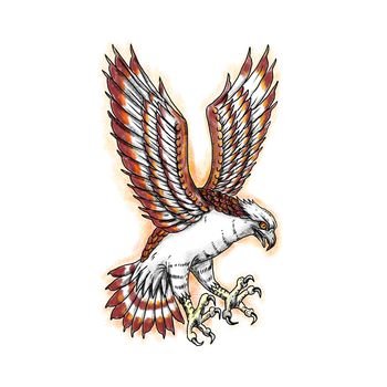 Tattoo style illustration of Osprey, Pandion haliaetus also called sea hawk, river hawk, fish hawk swooping viewed from side.