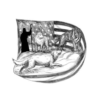 Tattoo style illustration of a sheepdog or herding dog protecting a lamb from a wolf with shepherd in background and USA stars and stripes American flag.