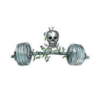 Tattoo style illustration of a skull lifting a heavy weight barbell with vine of Scottish thistle on isolated background.