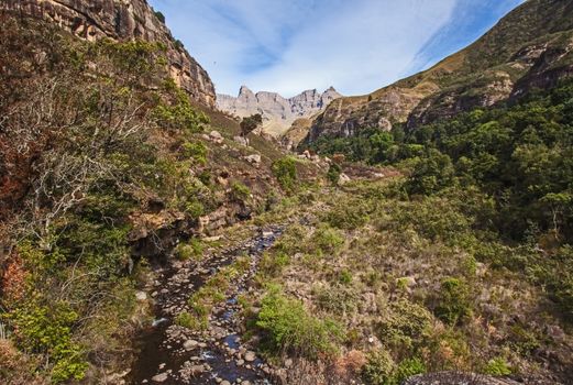 A small mountain stream with Mahlabatshanen peak(The Ape) in the background. Maloti-Drakensberg Park. South Africa.