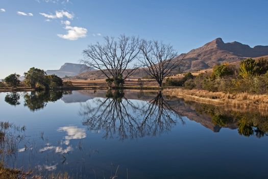 Reflections in a clear Drakensberg lake in the Royal Natal National Park. KwaZulu-Natal, South Africa