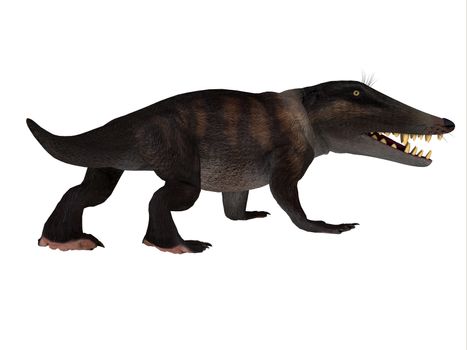 Ambulocetus was the primitive otter-like ancestor of the whale and lived in Pakistan and India during the Eocene Period.