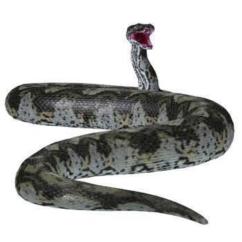 This predatory carnivorous Titanoboa snake lived during the Paleocene Period of Columbia, South America.