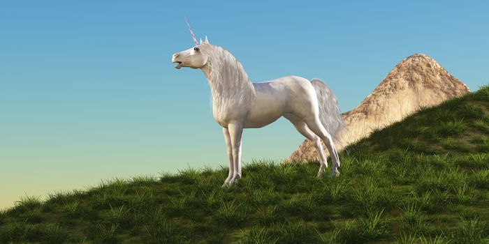 A magical white Unicorn stallion stands majestically on a hilltop gathering his herd to follow him.