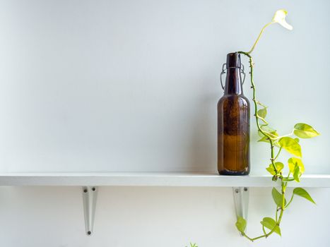 Green leaves with water in brown beer bottle on white shelf on white wall background with copy space.