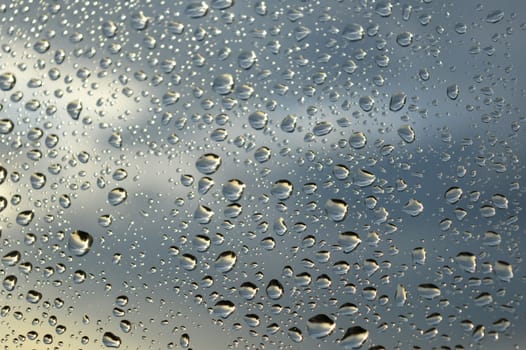 Drops of rain on the window, shallow dof.