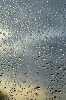 Drops of rain on the window, shallow dof.