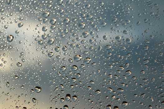 Drops of rain on the window, shallow dof.