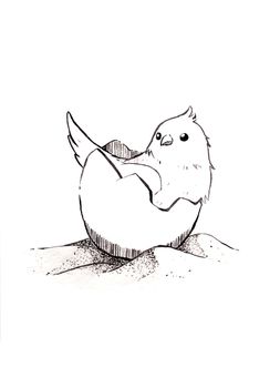 The birds in the eggshell lay on the sand. Line drawing cartoon style illustration on a white background. monochrome sketch. Design for pet artwork advertising, coloring book, textbook for small children.