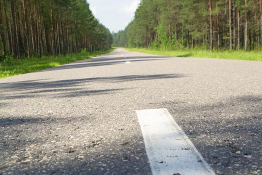 Summer country road with trees beside concept, landscape in Belarus