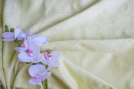 white orchid flower on gold textile drapery close up