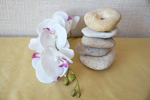 white orchid flower and natural stone pyramid close-up, relaxing zen background