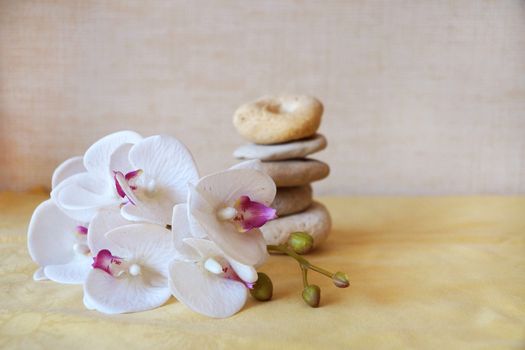 white orchid flower and natural stone pyramid close-up, relaxing zen background
