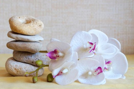 white orchid flower and natural stone pyramid close-up, relaxing zen background