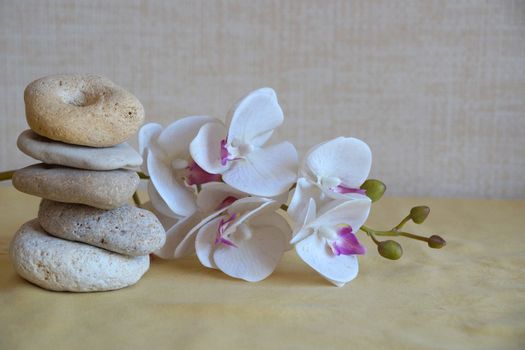 white orchid flower and natural stone pyramid close-up, relaxing zen background