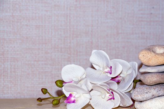 white orchid flower and natural stone pyramid close-up, relaxing zen background