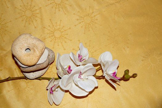 white orchid flower and natural stone pyramid on gold textile drapery, view from above