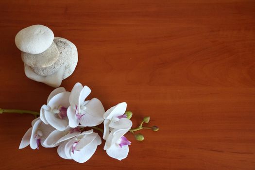 white orchid and natural stones pyramid on wooden background close up