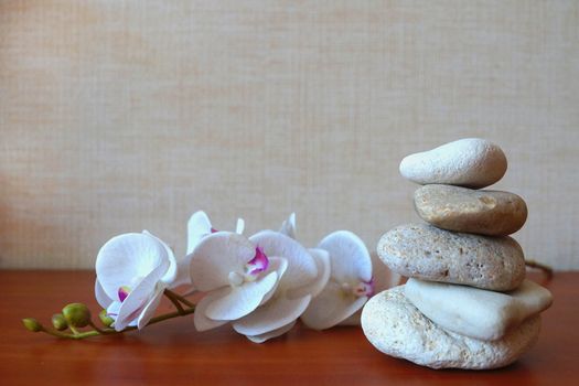 white orchid and natural stones pyramid on wooden background close up