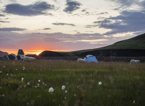 Beautiful scenic panorama of colorful volcanic mountains in Landmannalaugar camp site area of Fjallabak Nature Reserve in Highlands region of Iceland.