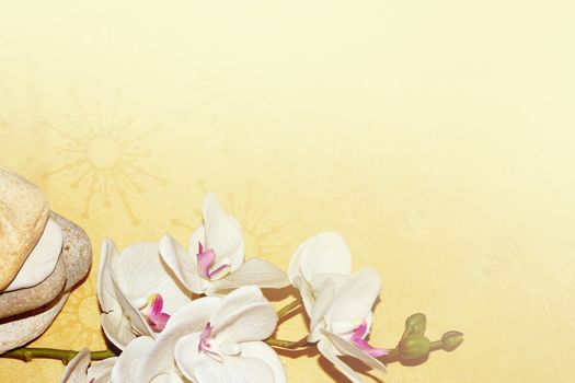 white orchid flower and natural stone pyramid close-up, relaxing zen background